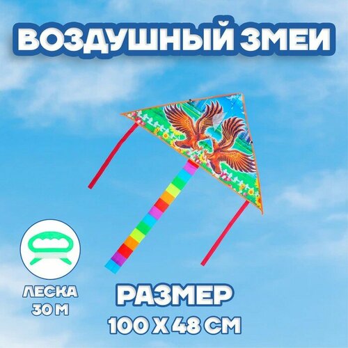 Воздушный змей Funny toys Орел, с леской (3949842)