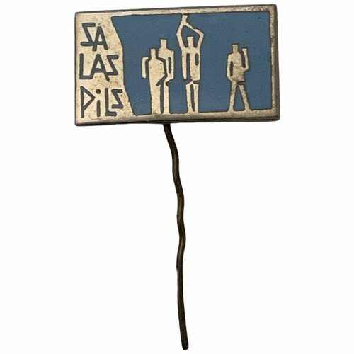 Знак Саласпил Германия (ГДР) 1971-1980 гг. знак гдр национальная народная армия гдр 1961 1980 гг булавка