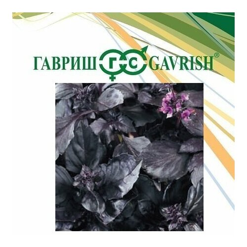 Семена Базилик Ереванский сапфир, 50г, Гавриш, Фермерское подворье семена базилик ереванский сапфир 0 1г