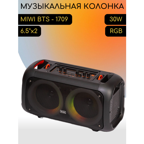 Музыкальная беспроводная колонка Brodu BTS 1709 820000₽