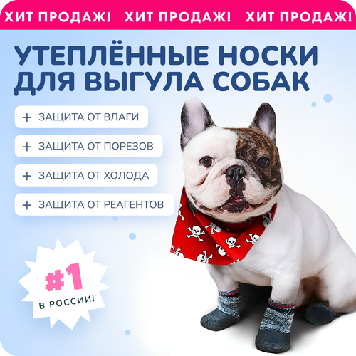 Обувь для собак мелких пород с защитой от реагентов и соли, прорезиненные носки для собак Space Groom с фиксаторами, размер 1 (XS)