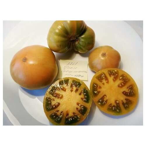 Коллекционные семена томата Гном Совершенный