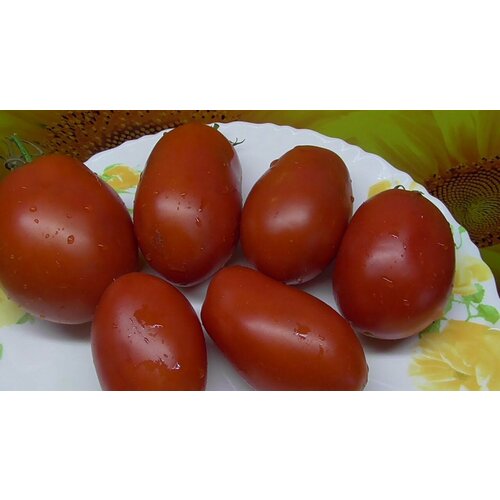 Коллекционные семена томата Дедушкины