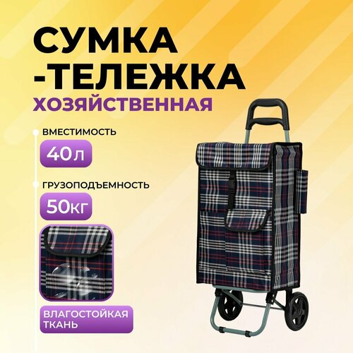 Тележка для багажа Koleso, 40 л, 35х91х30 см, ручная кладь, черный