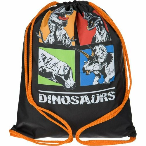 Мешок для обуви №1School Dinosaurs, 330x420 мм