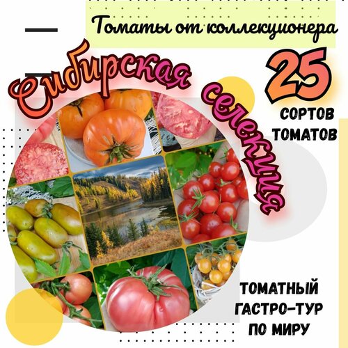Семена томатов, 25 сортов Сибирской селекции, томатный гастро-тур по миру