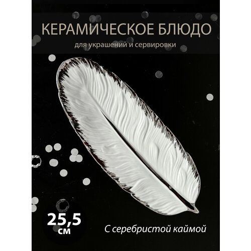 Блюдо Перо с серебристой каймой, 25,5см