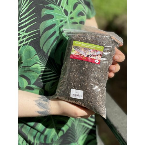 Грунт для Драгоценной Орхидеи Лудизия 1л