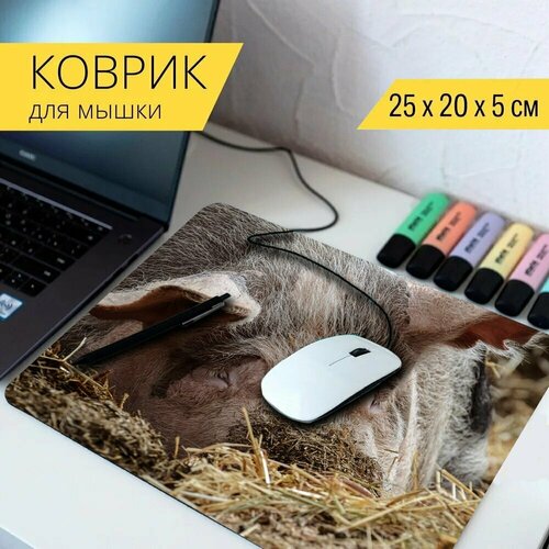 Коврик для мыши с принтом Свинья, фермерский двор, животное 25x20см.