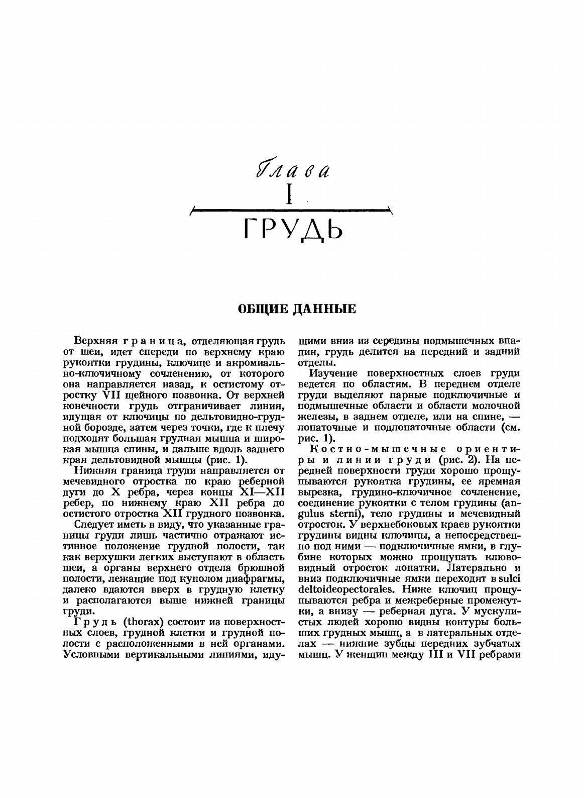Атлас топографической анатомии человека - фото №3