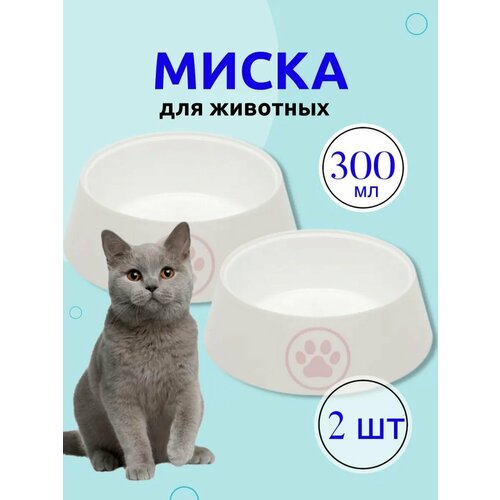 Миска для кошек Лекси 0.3 л, белый, 2 шт