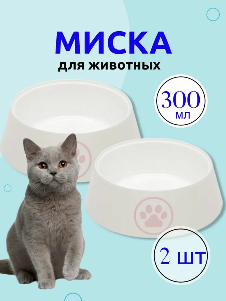 Миска для кошек Лекси 0.3 л, белый, 2 шт - фотография № 1
