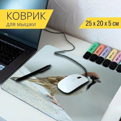 Коврик для мыши с принтом Дерево воробей, воробей, птица 25x20см. стол воробей птица крупный план 65x65 см кухонный квадратный с принтом