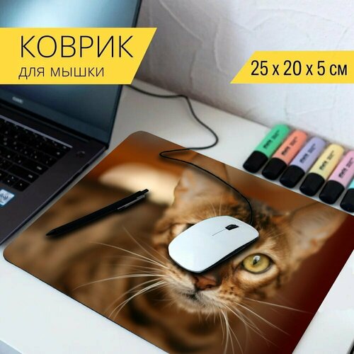 стол бенгальский кот кошка кошачий 65x65 см кухонный квадратный с принтом Коврик для мыши с принтом Бенгальский кот, кошка, кошачий 25x20см.