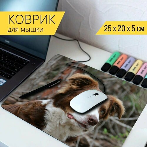 коврик для мыши с принтом собака животное бордерколли 25x20см Коврик для мыши с принтом Бордерколли, портрет, собака 25x20см.