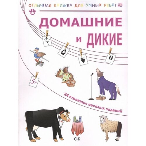 Домашние и дикие эрмитаж кошки дикие и домашние