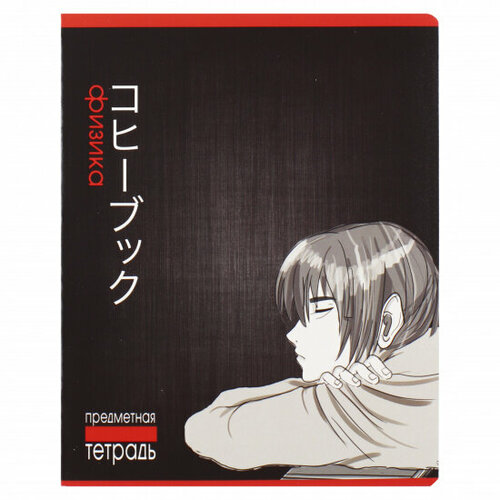 Полотняный завод Тетрадь предметная 48 листов, Физика, клетка 