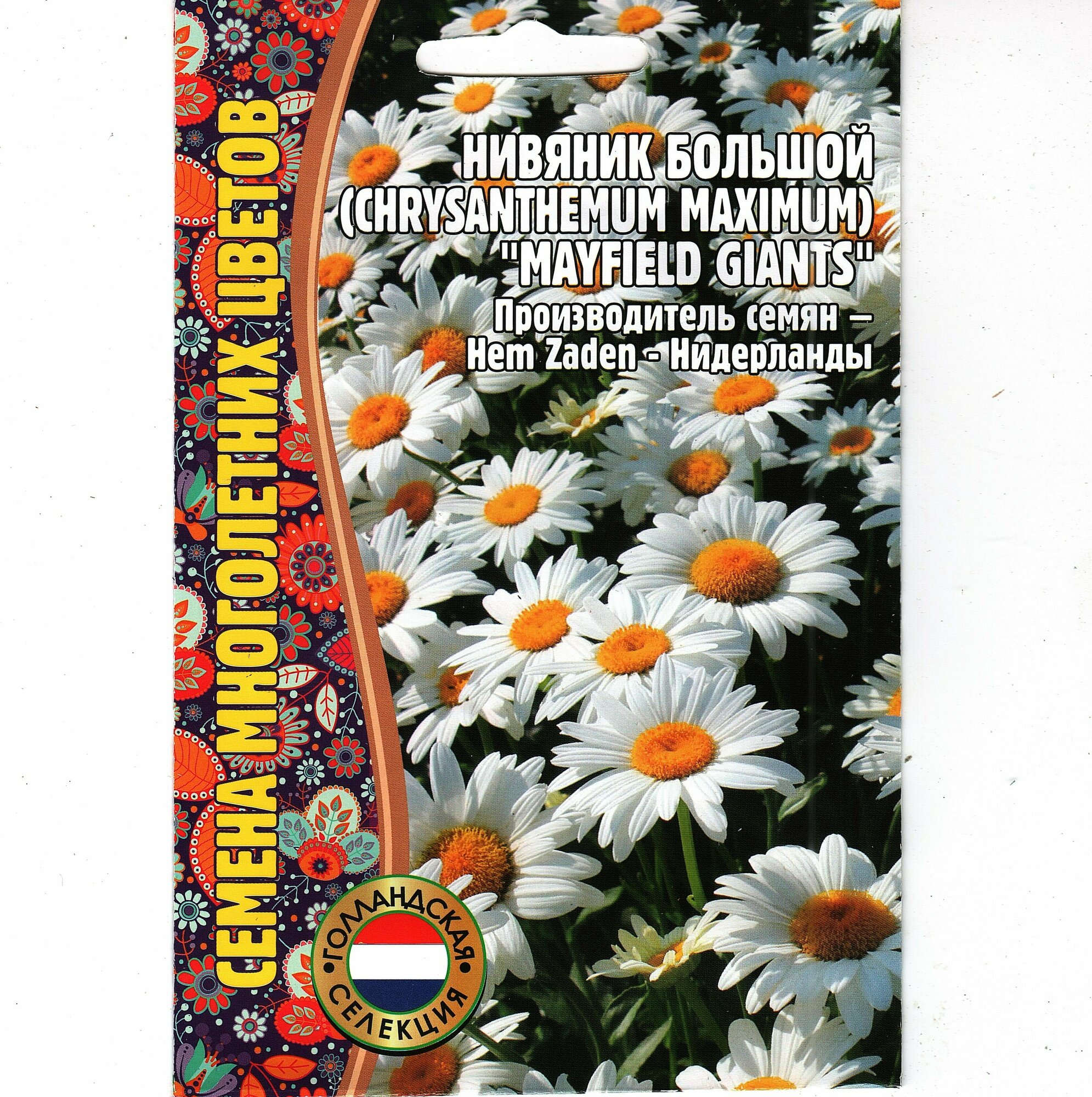 Нивяник Большой / Chrysanthemum maximum многолетник ( 1 уп: 0.2 г семян )