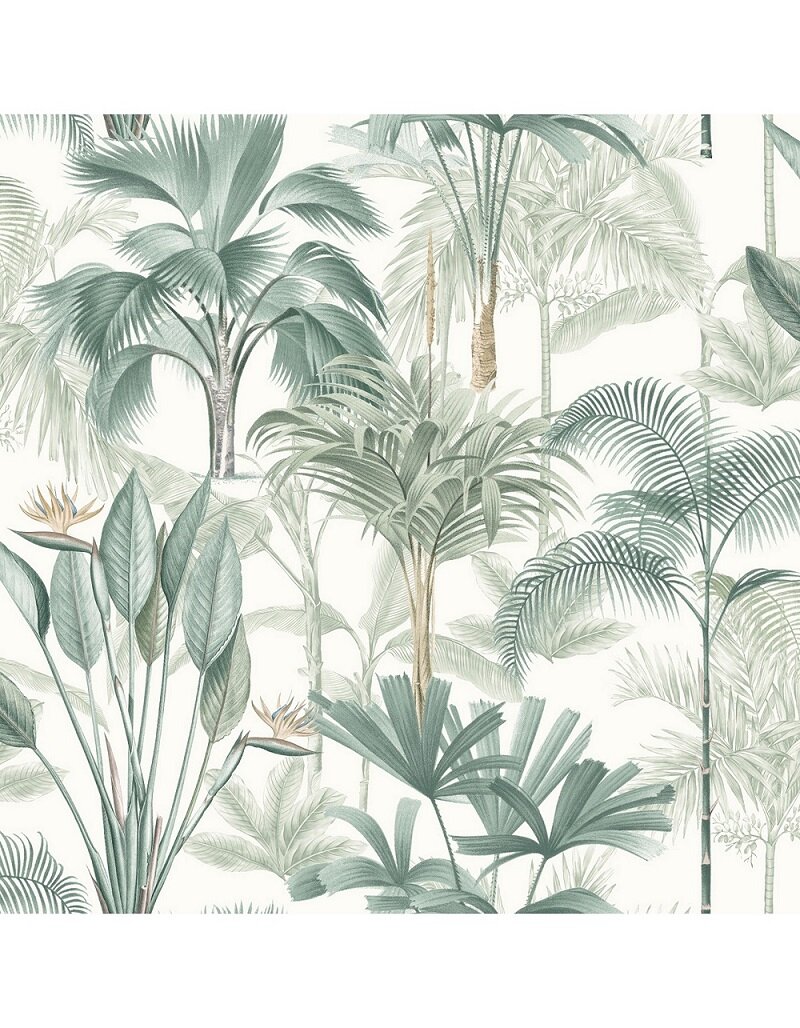 Обои бумажные англ. бренда Arthouse "King Palm" 10х0,53м, зеленые пальмы
