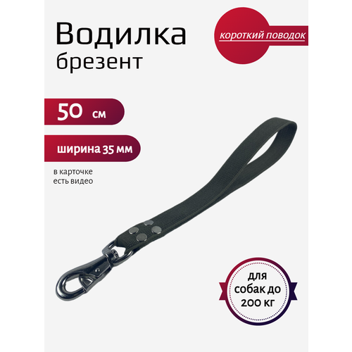 Водилка для собак с бычьим карабином брезент 50 см х 35 мм (черный)