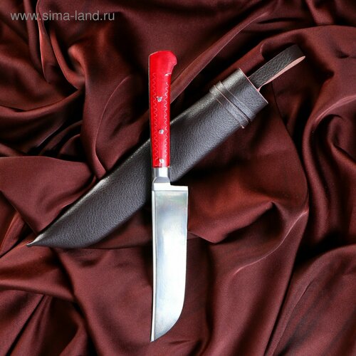 Нож Пчак Шархон - оргстекло, ёрма, гарда олово ШХ-15, клинок 11-12 см микс пчак гузар