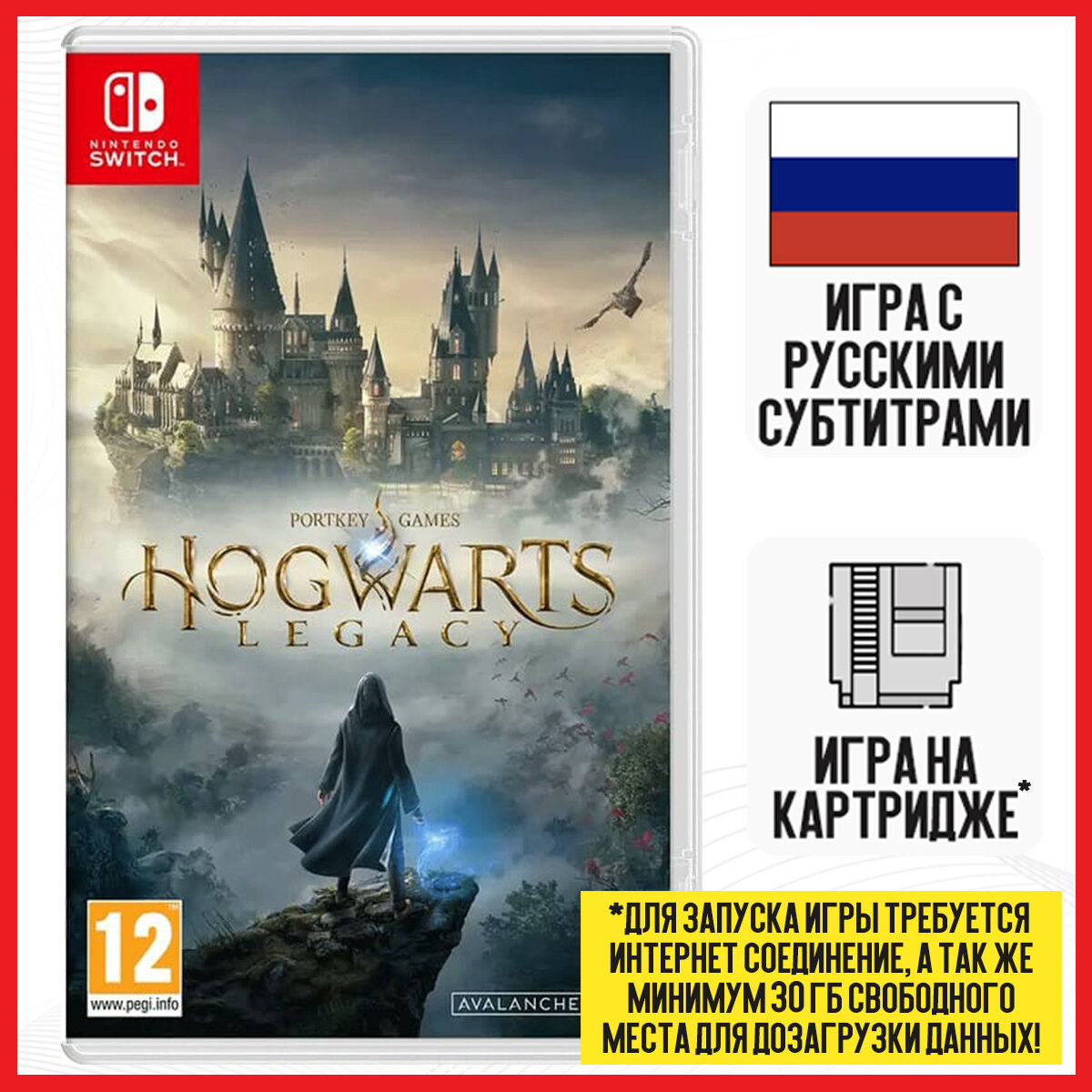 Игра Hogwarts Legacy (Хогвартс Наследие) (Nintendo Switch, русские субтитры)