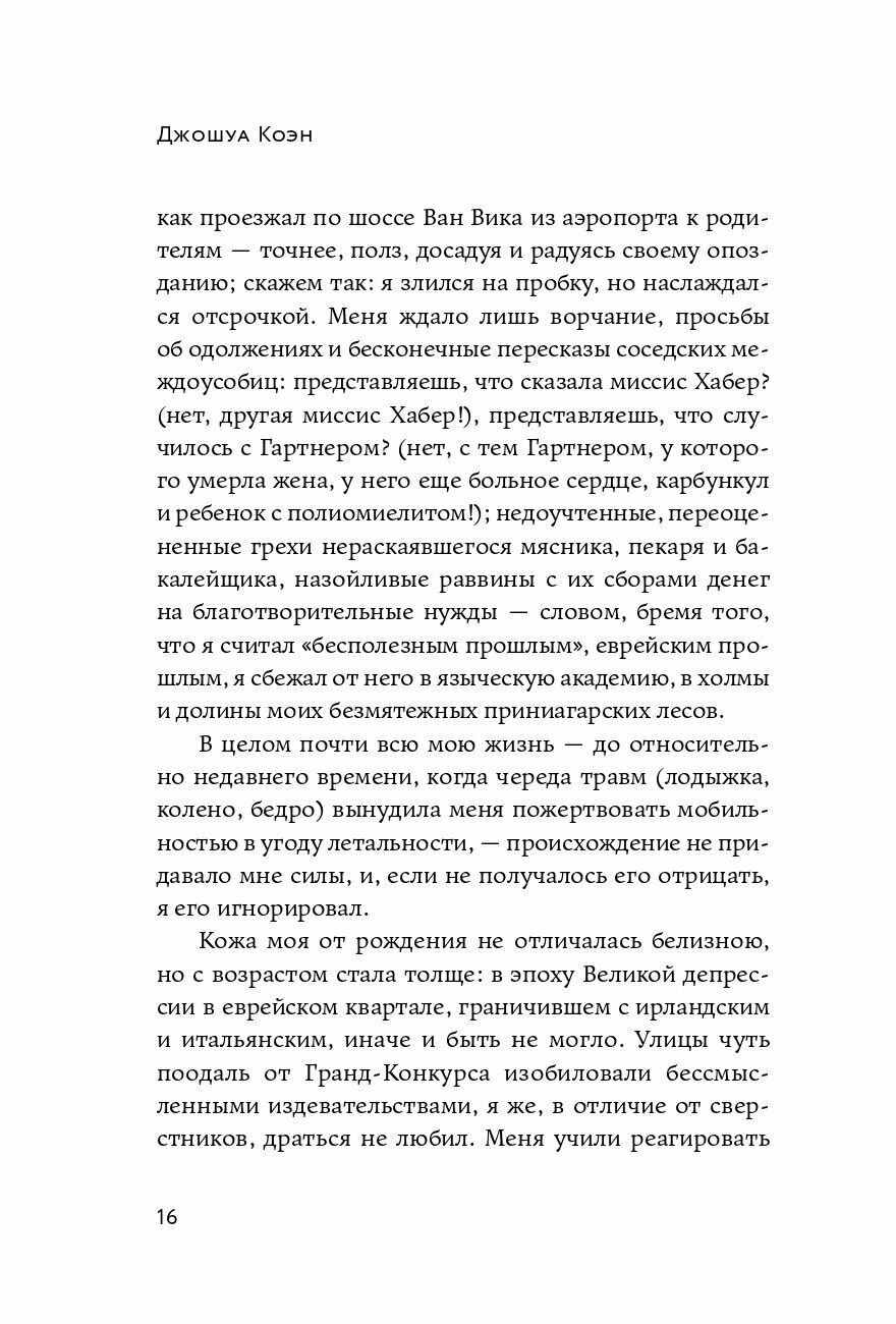 Нетаньяху. Отчет о незначительном и в конечном счете даже неважном эпизоде из жизни очень известной семьи: роман - фото №9