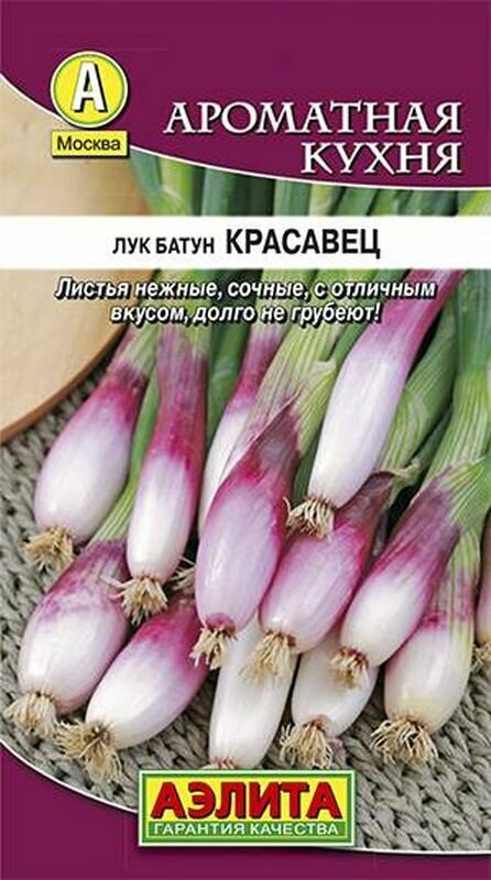 Семена Лук батун Красавец (многолетние) (Аэлита) 0,3г