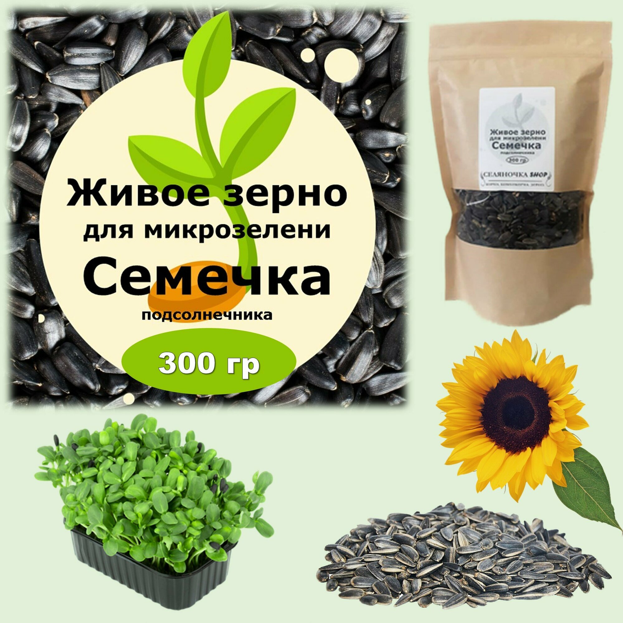 Семена для микрозелени "Живое зерно" Семечка подсолнечника, 300 гр
