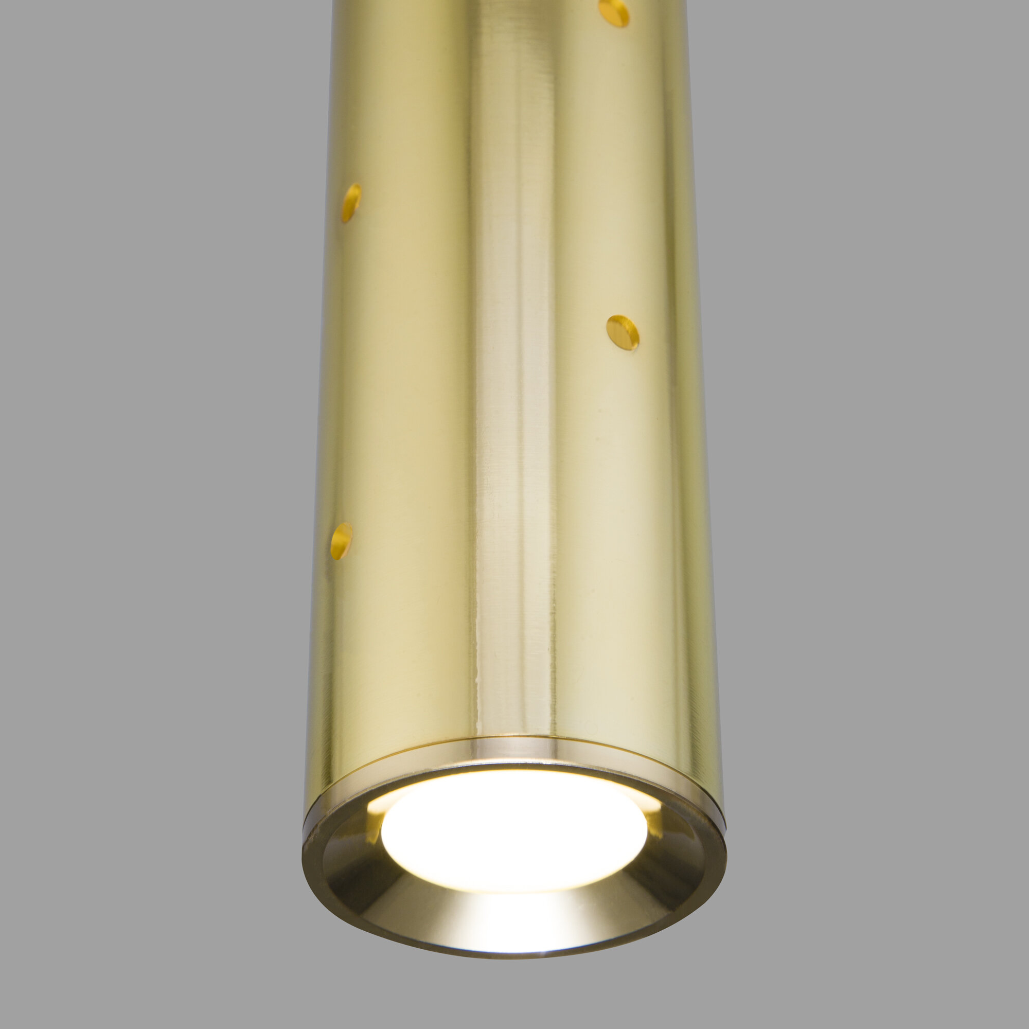 Подвесной светодиодный светильник Elektrostandard Bong 50214/1 LED золото IP20
