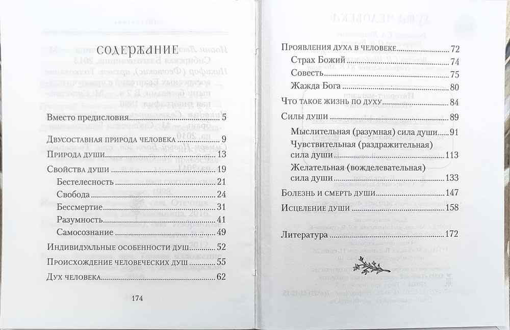 Душа человека (Архимандрит Наум (Байдородин) (сост.)) - фото №13