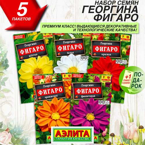 Георгина Фигаро 5 сортов семена цветов георгина махровая опера 15 шт