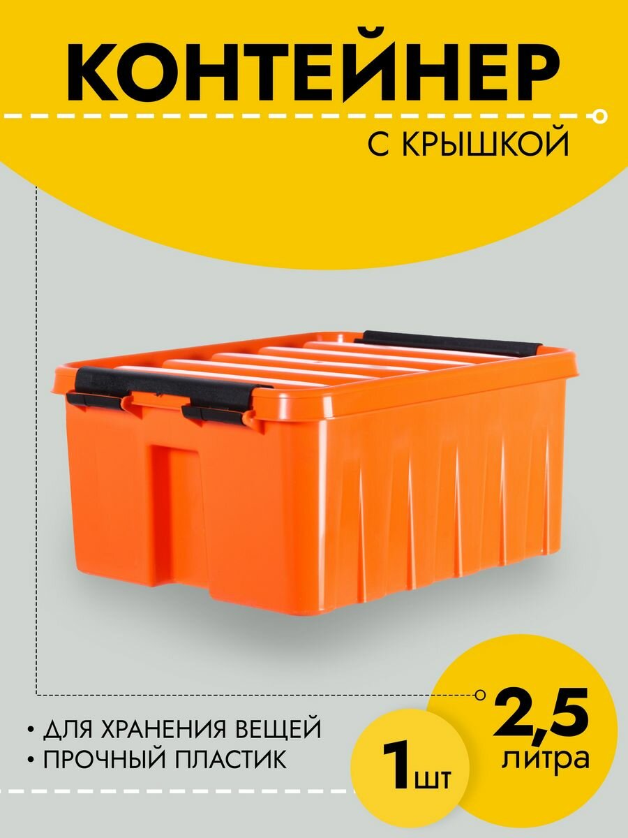 Контейнер для хранения вещей 2,5 л, 210х170х95, 1 шт