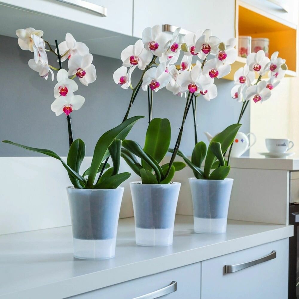 Кашпо для орхидей пластиковое дымчатое d16,5 см h15 см 2 л