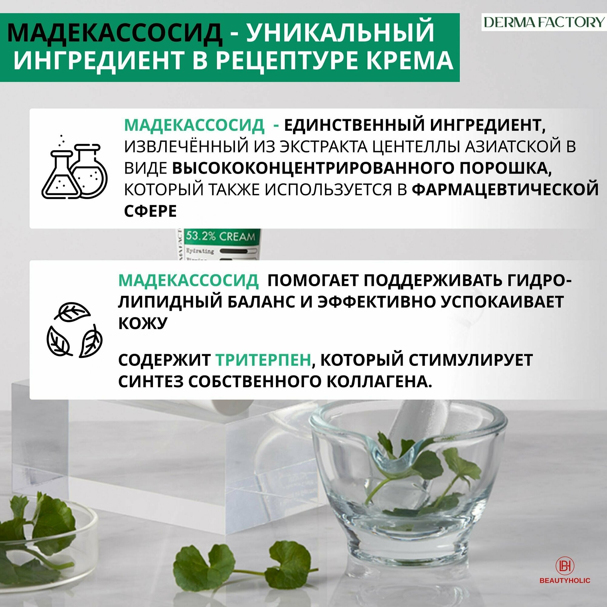 Крем для лица Derma Factory Cica 53.2% с экстрактом центеллы азиатской - фото №14