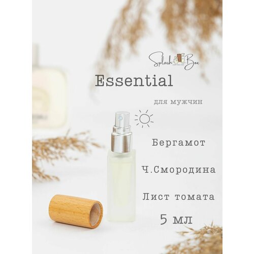 Essential духи стойкие