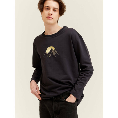 фото Лонгслив берегите птиц, размер s, золотой, серый