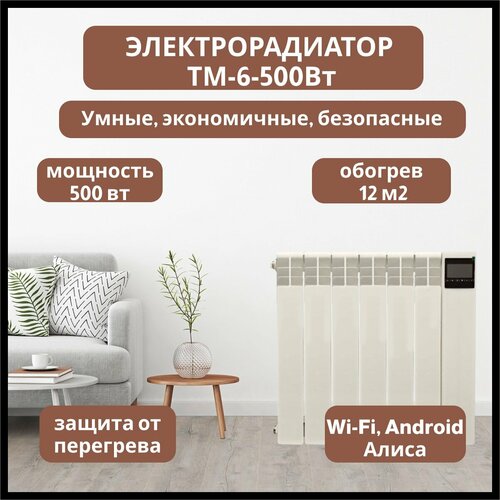 Электрорадиатор ТМ 6-500Вт 2793000₽