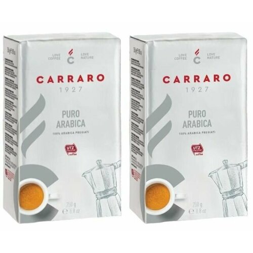 Carraro Кофе молотый Caffe Arabica 100%, 250 гр, 2 шт