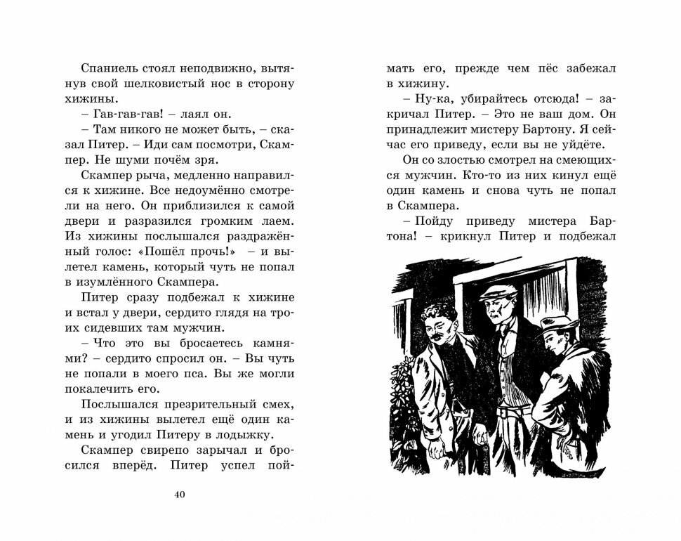 Странная кража (Блайтон Энид Мэри, Шеррокс Барджесс (иллюстратор), Волхонский Михаил (переводчик)) - фото №10