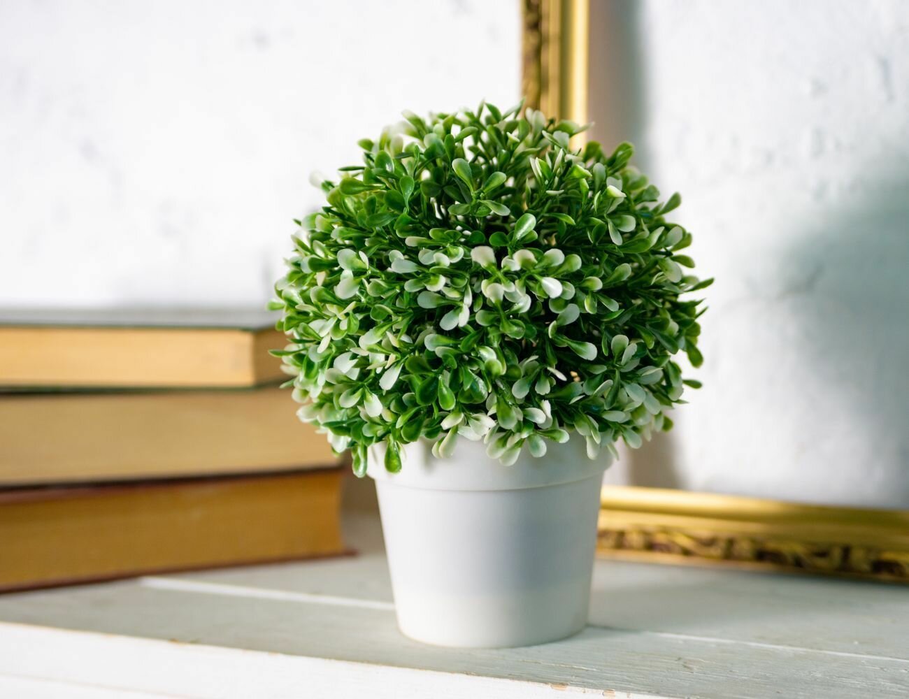 фото Искусственное растение в горшке олерацеа крема, 20 см, Koopman International 317002500-1