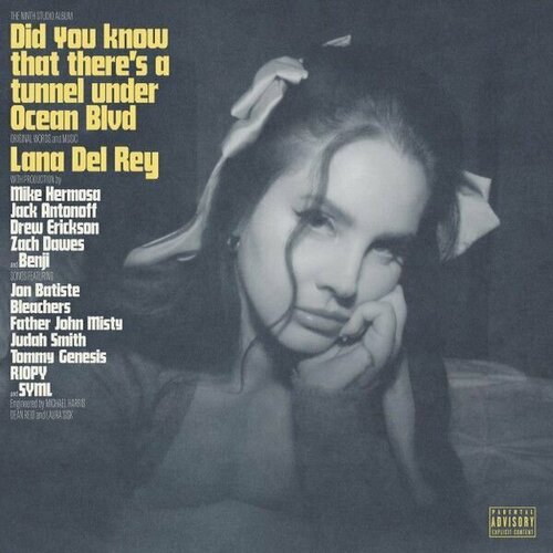 Виниловая пластинка Lana Del Rey. Did You Know That There's A Tunnel Under Ocean Blvd (2LP) виниловая пластинка del rey lana did you know that there s a tunnel under ocean blvd 0602448591913