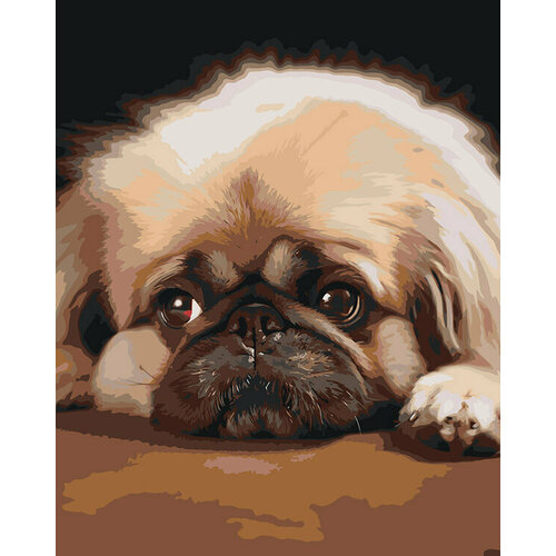 Картина по номерам Грустная собака Пекинес 40x50 картина по номерам собака спаниель черная 40x50