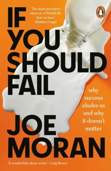 If You Should Fail. Why Success Eludes Us and Why It Doesn’t Matter - фото №1