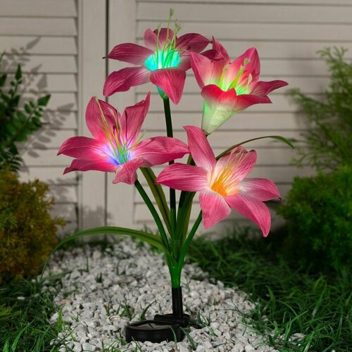 Садовый светильник на солнечной батарее «Лилия розовая», 80 см, 4 LED, свечение мульти (RGB) (комплект из 2 шт)