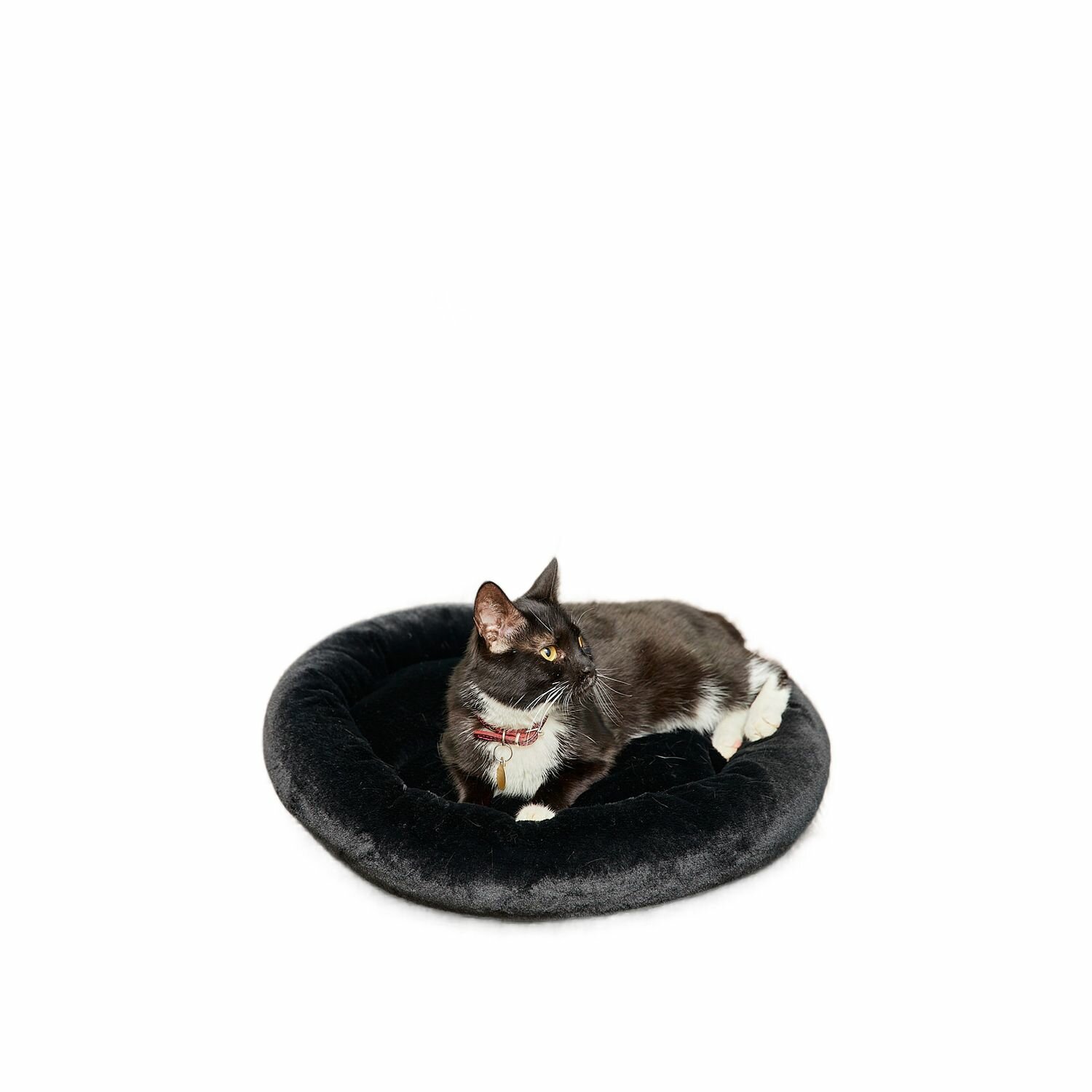 Лежанка для кошек и собак Pet БМФ Черный - фотография № 1