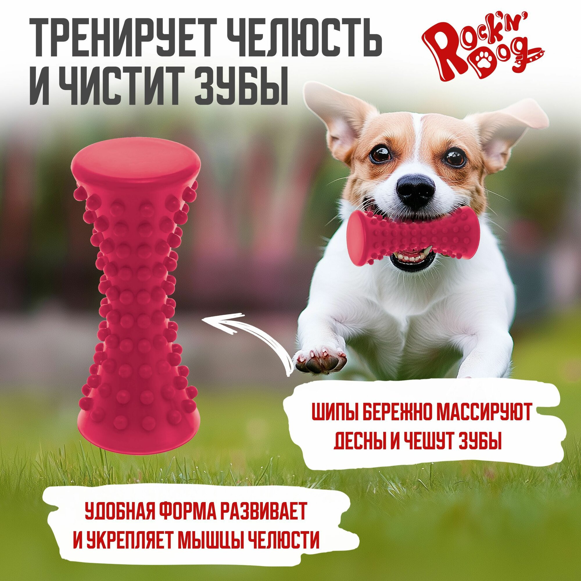 Игрушка для собак средних пород, для тренировки челюсти и чистки зубов — фото 1