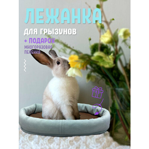 Лежанка для грызунов и морской свинки в клетку, лежак для животных BOAT, голубой, 30х16 см