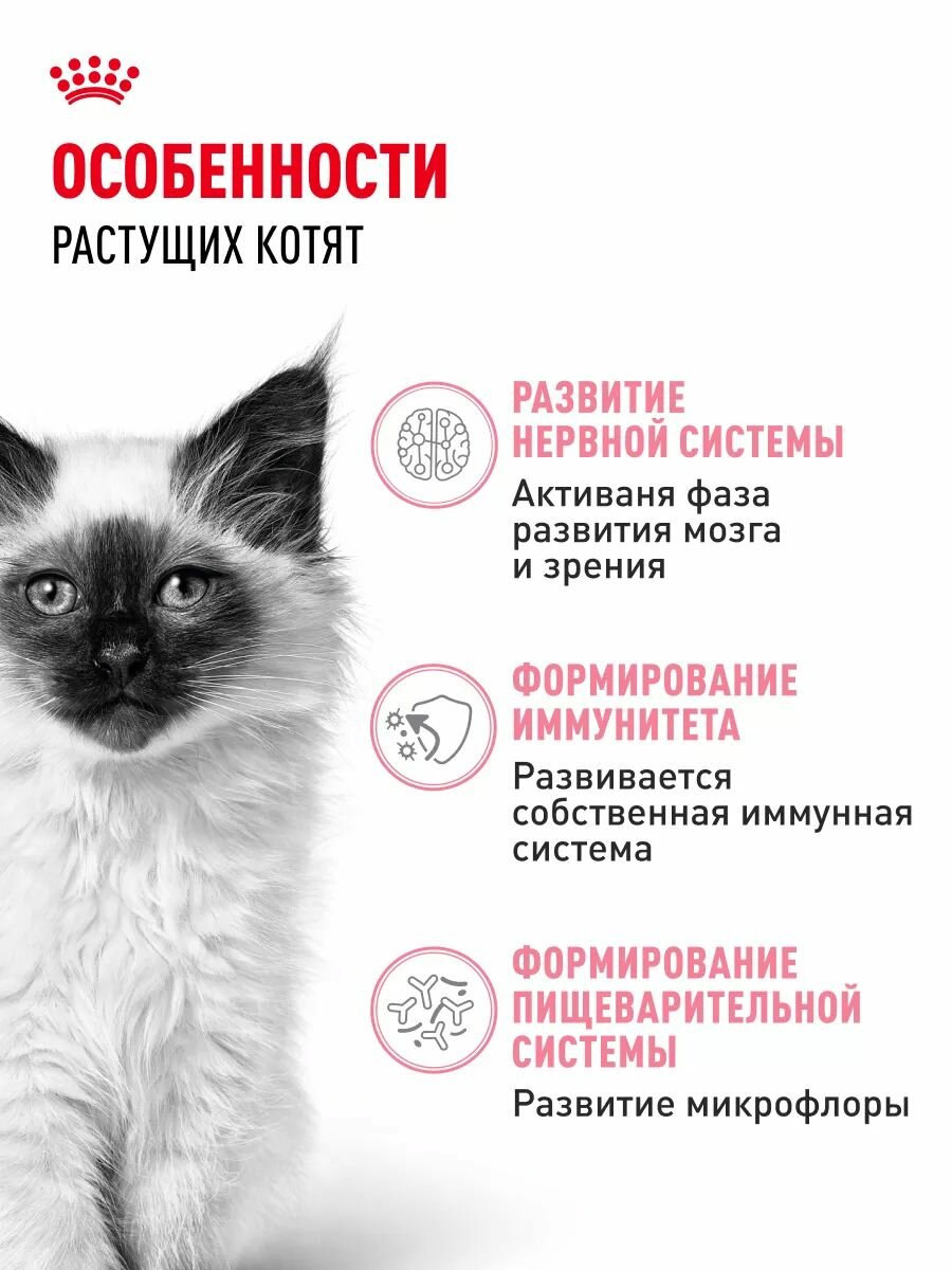 Корм для котят Royal Canin Kitten Корм сухой сбалансированный, 2 кг — фото 1