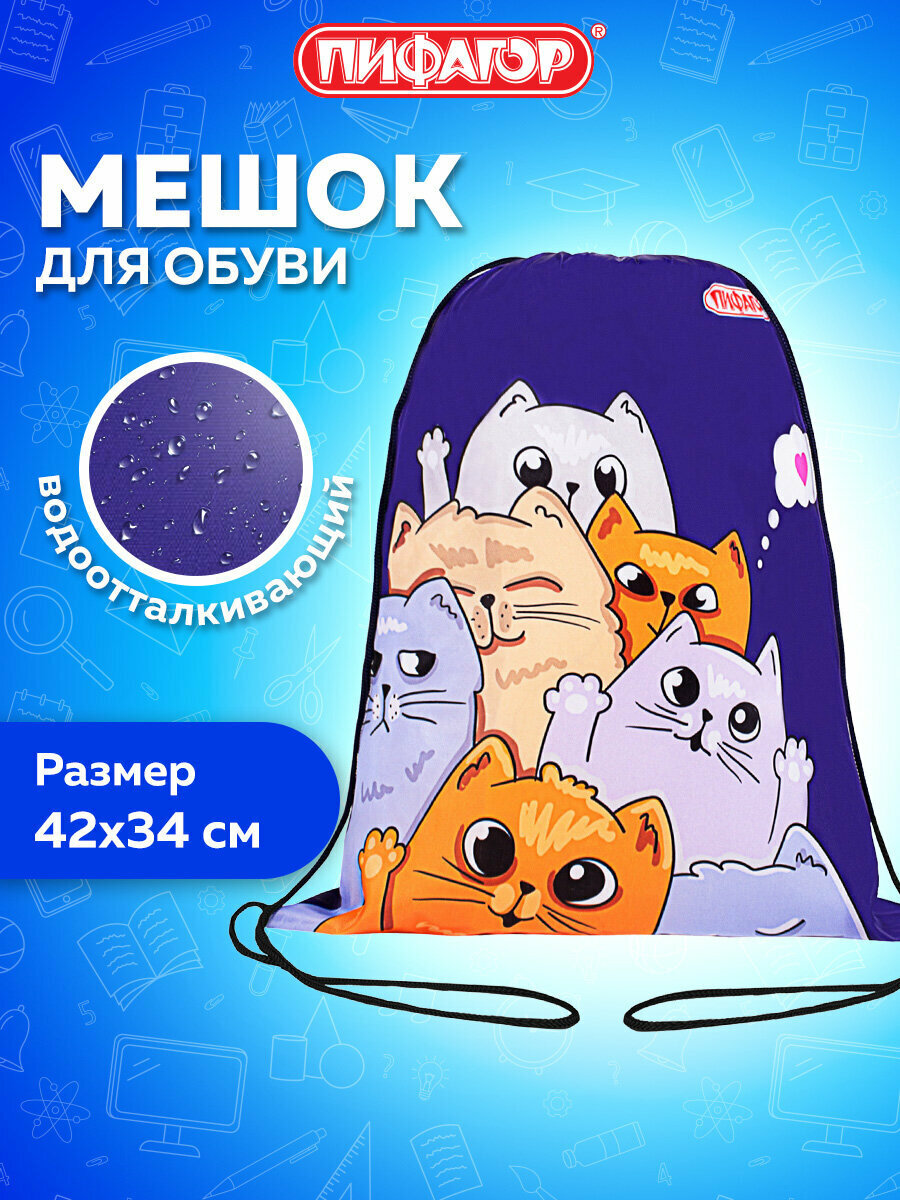 Мешок для обуви Пифагор 1 отделение 42х34 см Cats greetings 272382